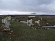 Old graves in Çamuşvan (April 2007)